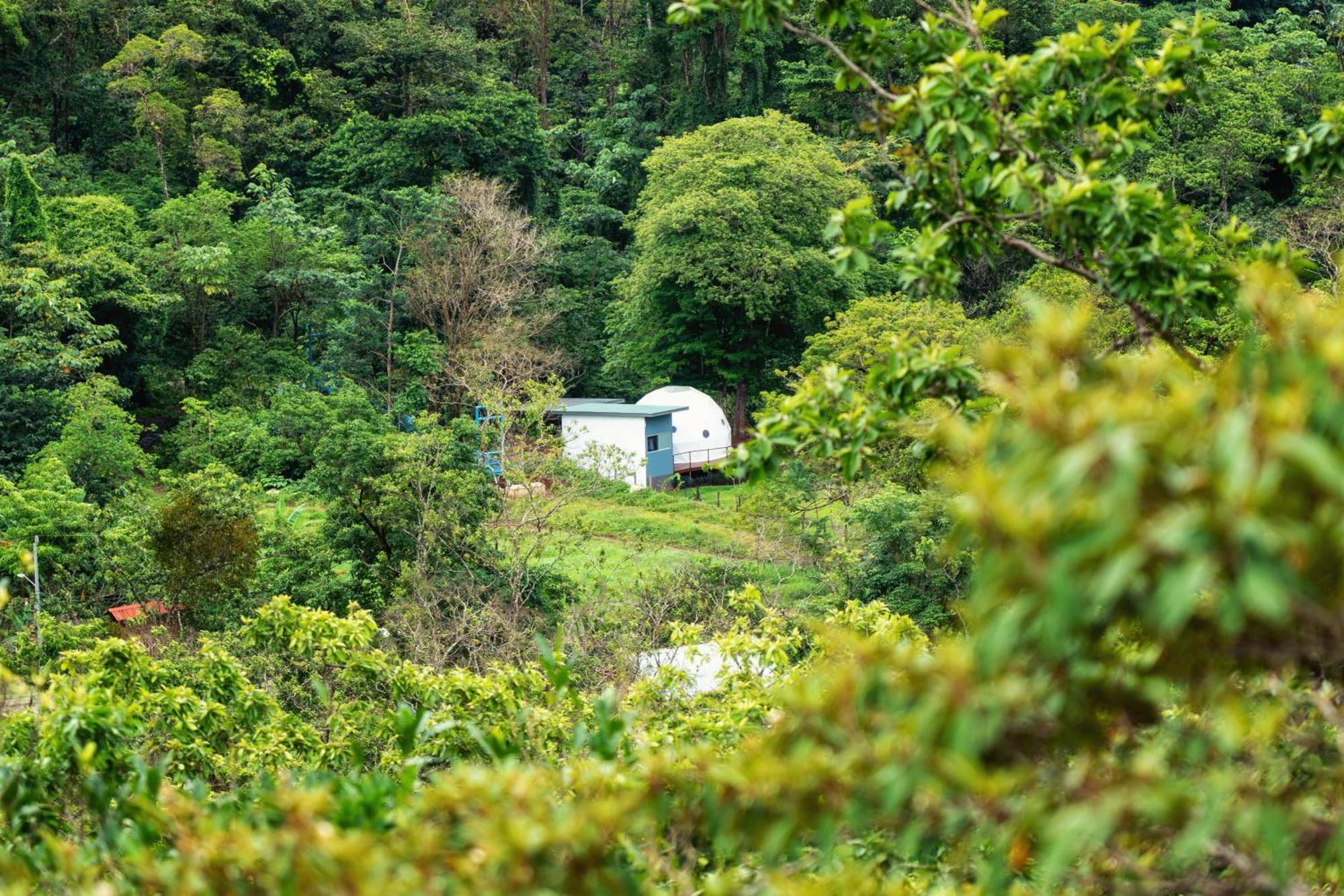 Bitzu Dome-Bijagua Riverside Glamping Екстер'єр фото